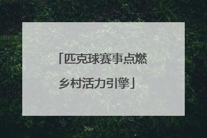 匹克球赛事点燃乡村活力引擎