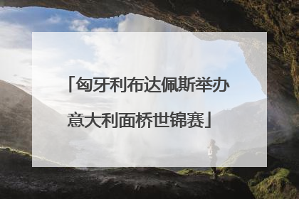 匈牙利布达佩斯举办意大利面桥世锦赛