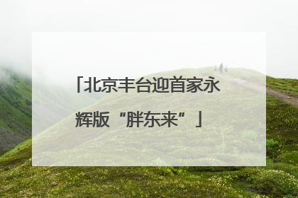 北京丰台迎首家永辉版“胖东来”