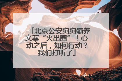 北京公安狗狗领养文案“火出圈”！心动之后，如何行动？我们打听了