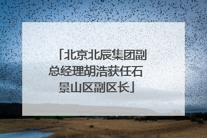 北京北辰集团副总经理胡浩获任石景山区副区长