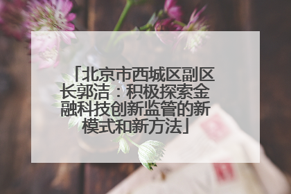 北京市西城区副区长郭洁：积极探索金融科技创新监管的新模式和新方法
