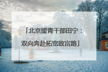 北京援青干部田宁：双向奔赴拓宽致富路