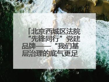 北京西城区法院“先锋同行”党建品牌——“我们基层治理的底气更足了！”