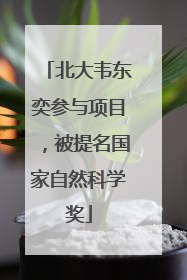 北大韦东奕参与项目，被提名国家自然科学奖