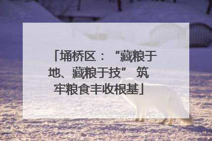 埇桥区：“藏粮于地、藏粮于技” 筑牢粮食丰收根基