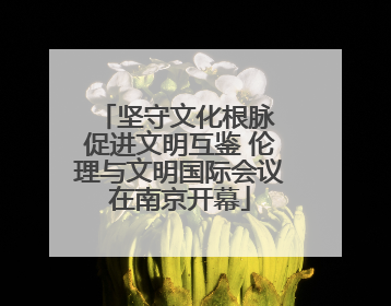 坚守文化根脉 促进文明互鉴 伦理与文明国际会议在南京开幕
