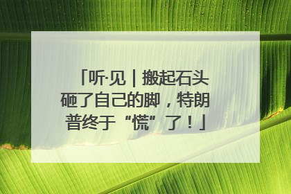 听·见｜搬起石头砸了自己的脚，特朗普终于“慌”了！