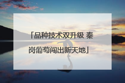 品种技术双升级 秦岗葡萄闯出新天地