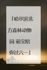 哈尔滨北方森林动物园 萌宝陪你过六一