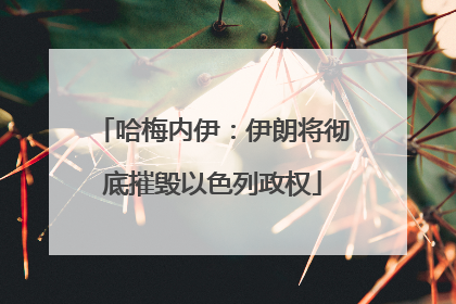 哈梅内伊：伊朗将彻底摧毁以色列政权