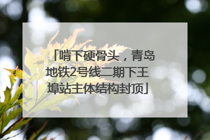 啃下硬骨头，青岛地铁2号线二期下王埠站主体结构封顶