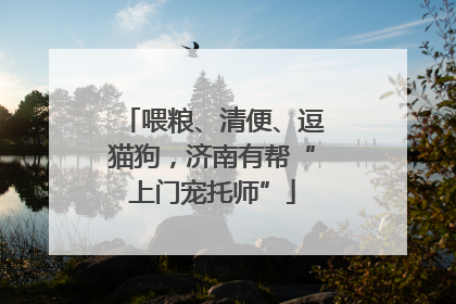 喂粮、清便、逗猫狗，济南有帮“上门宠托师”