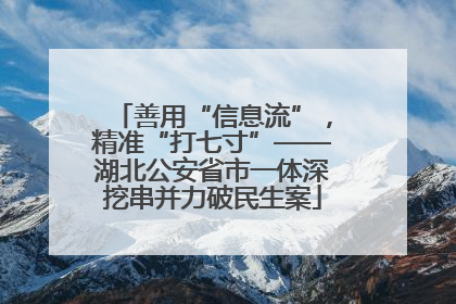 善用“信息流”，精准“打七寸”——湖北公安省市一体深挖串并力破民生案