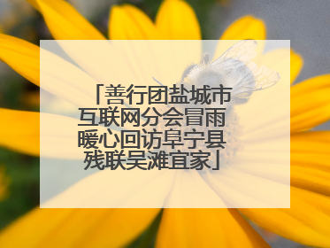 善行团盐城市互联网分会冒雨暖心回访阜宁县残联吴滩宜家