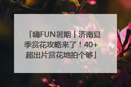 嗨FUN暑期丨济南夏季赏花攻略来了！40+超出片赏花地拍个够