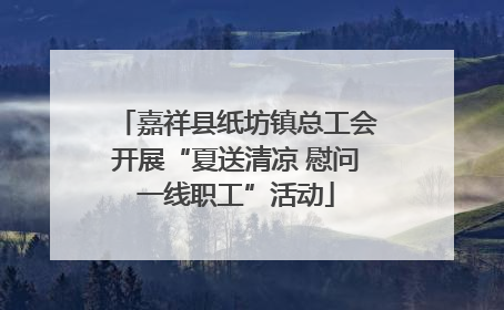 嘉祥县纸坊镇总工会开展“夏送清凉 慰问一线职工”活动