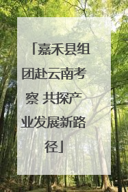 嘉禾县组团赴云南考察 共探产业发展新路径