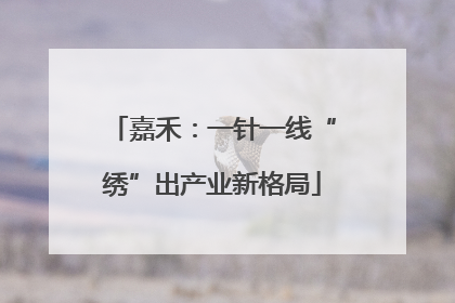 嘉禾：一针一线“绣”出产业新格局