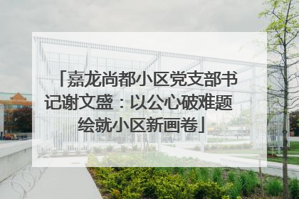 嘉龙尚都小区党支部书记谢文盛：以公心破难题 绘就小区新画卷