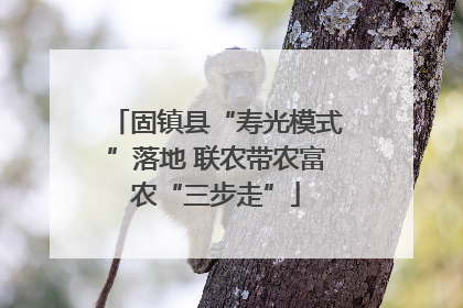 固镇县“寿光模式”落地 联农带农富农“三步走”