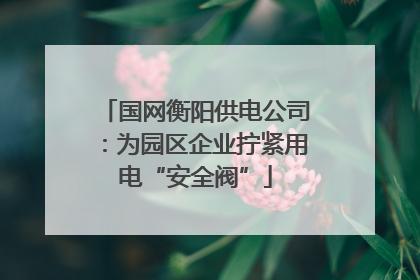 国网衡阳供电公司：为园区企业拧紧用电“安全阀”