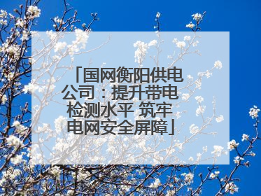 国网衡阳供电公司：提升带电检测水平 筑牢电网安全屏障