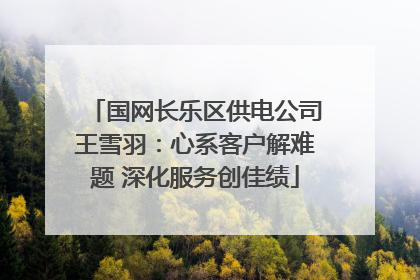 国网长乐区供电公司王雪羽：心系客户解难题 深化服务创佳绩