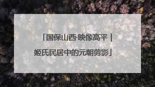 国保山西·映像高平｜姬氏民居中的元朝剪影