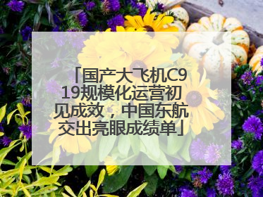国产大飞机C919规模化运营初见成效，中国东航交出亮眼成绩单