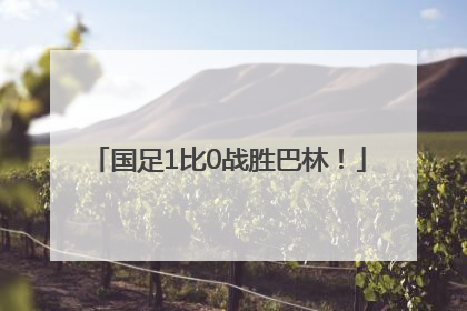 国足1比0战胜巴林！