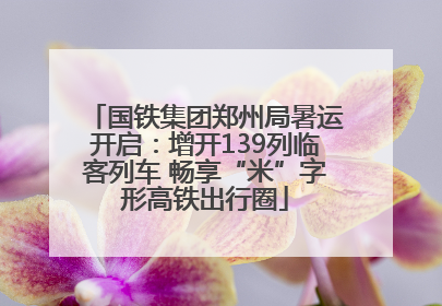 国铁集团郑州局暑运开启：增开139列临客列车 畅享“米”字形高铁出行圈