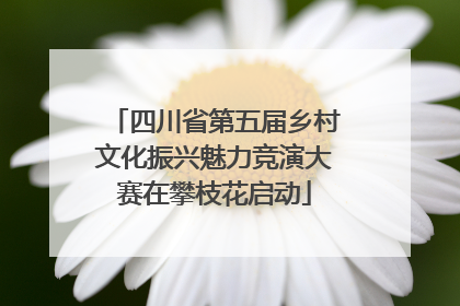 四川省第五届乡村文化振兴魅力竞演大赛在攀枝花启动