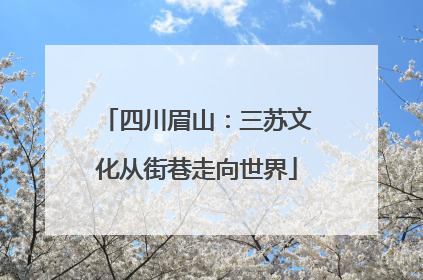 四川眉山：三苏文化从街巷走向世界