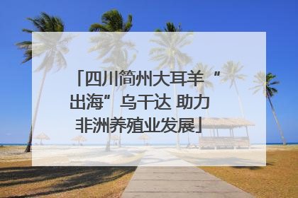 四川简州大耳羊“出海”乌干达 助力非洲养殖业发展