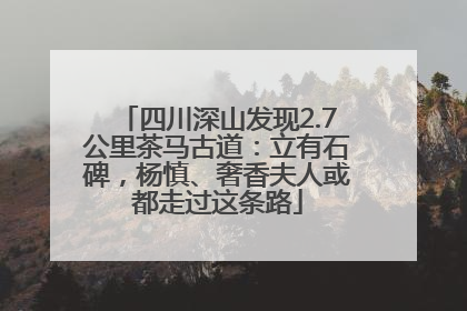 四川深山发现2.7公里茶马古道：立有石碑，杨慎、奢香夫人或都走过这条路