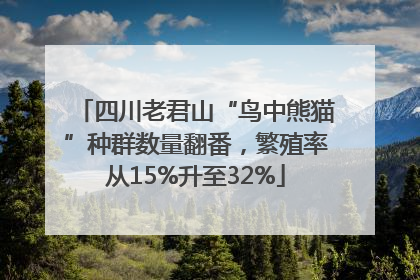 四川老君山“鸟中熊猫”种群数量翻番，繁殖率从15%升至32%