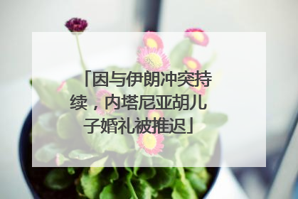因与伊朗冲突持续，内塔尼亚胡儿子婚礼被推迟