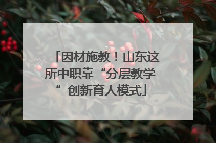 因材施教！山东这所中职靠“分层教学”创新育人模式