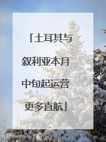 土耳其与叙利亚本月中旬起运营更多直航
