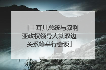 土耳其总统与叙利亚政权领导人就双边关系等举行会谈