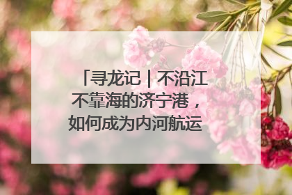 寻龙记｜不沿江不靠海的济宁港，如何成为内河航运的“绝对主力”