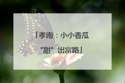 孝南：小小香瓜 “甜”出富路