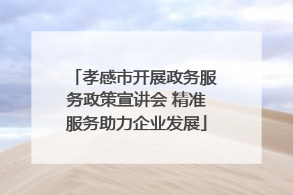 孝感市开展政务服务政策宣讲会 精准服务助力企业发展