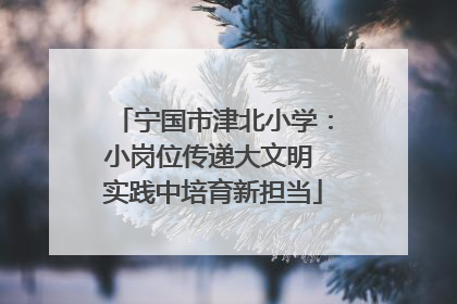 宁国市津北小学：小岗位传递大文明 实践中培育新担当