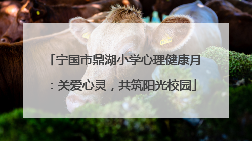 宁国市鼎湖小学心理健康月：关爱心灵，共筑阳光校园