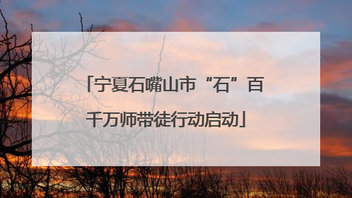 宁夏石嘴山市“石”百千万师带徒行动启动