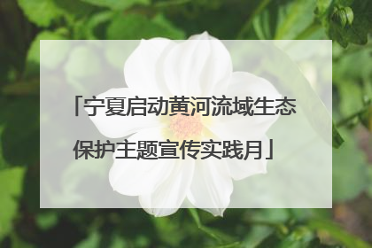 宁夏启动黄河流域生态保护主题宣传实践月