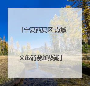 宁夏西夏区 点燃文旅消费新热潮