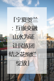 宁夏贺兰：互嵌交融 山水为证 让民族团结之花绚烂绽放